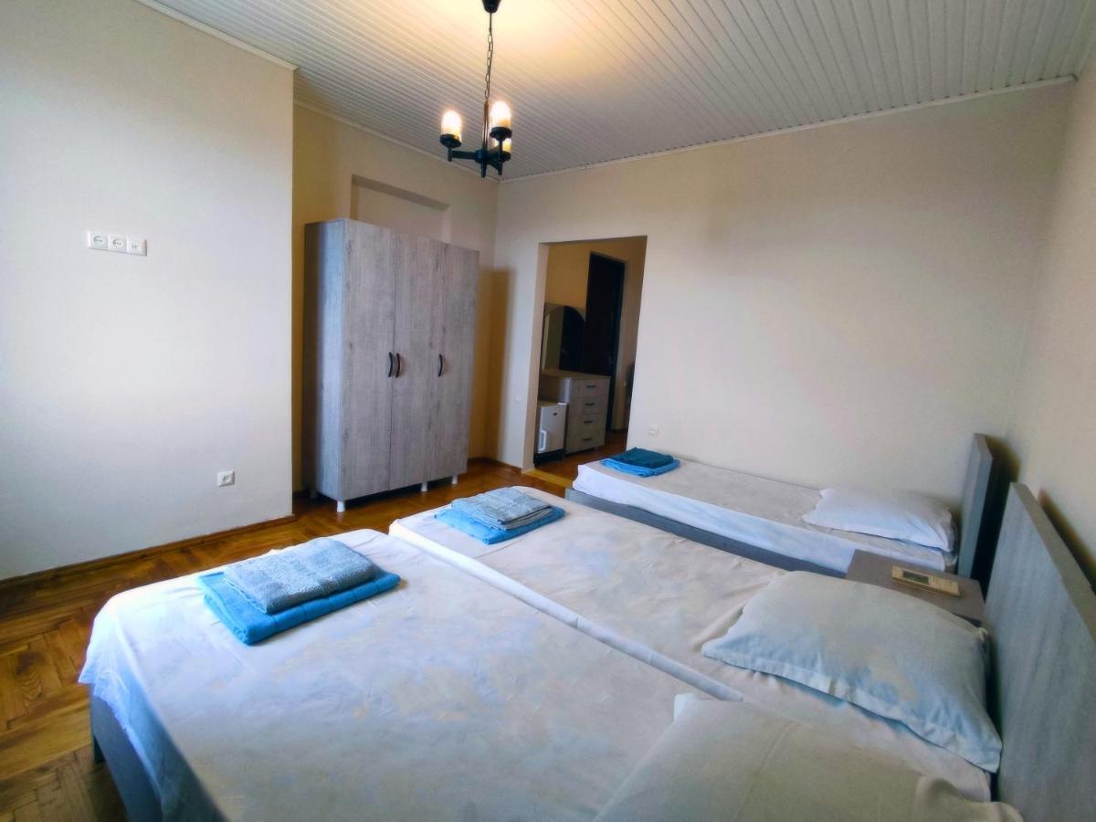 Guesthouse White Swan コブレチ エクステリア 写真