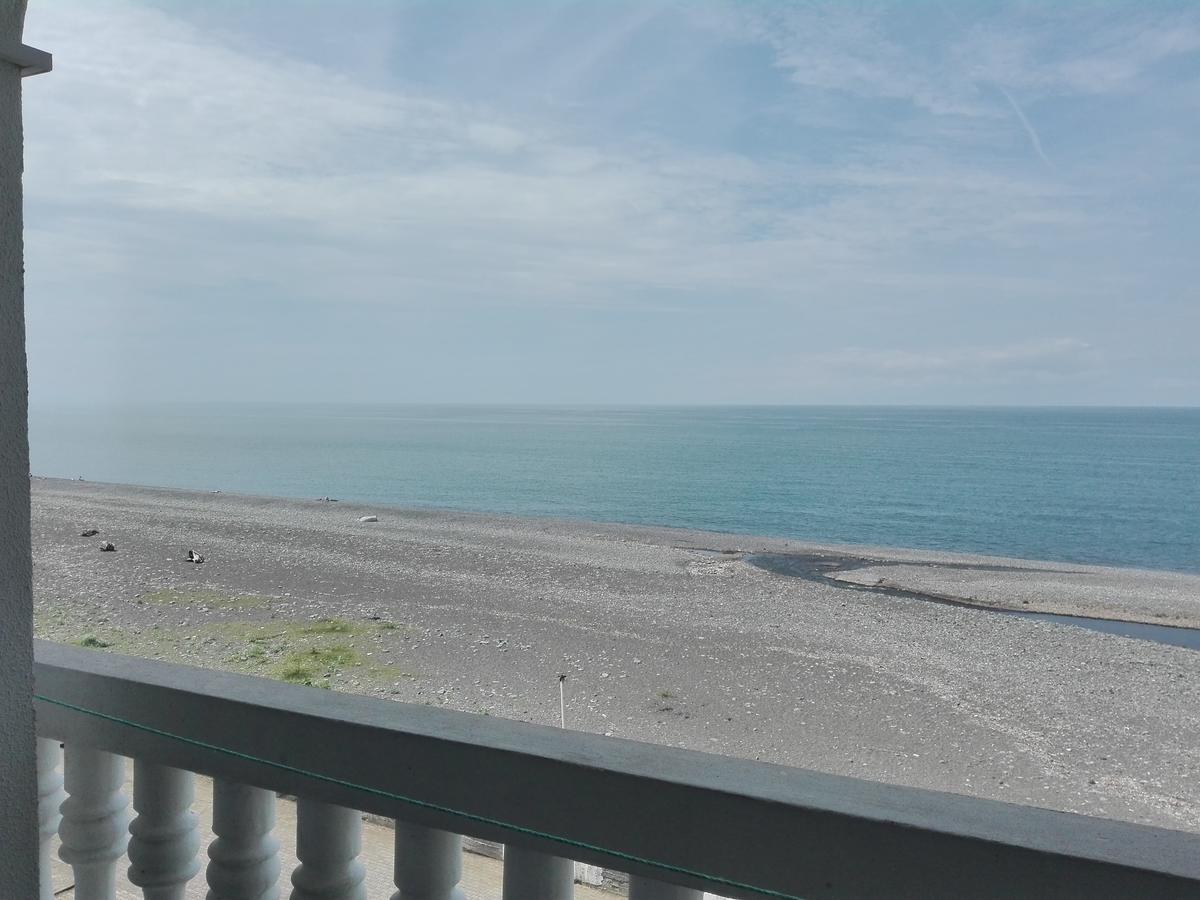 Guesthouse White Swan コブレチ エクステリア 写真